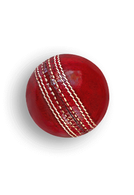 Online cricket betting sites in Indian Rupees