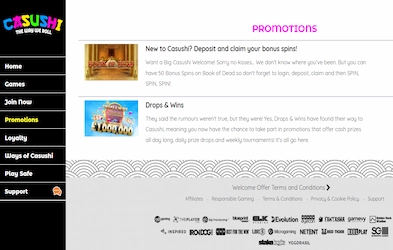 Casushi Casino promotion page with menu, game providers, casino logo