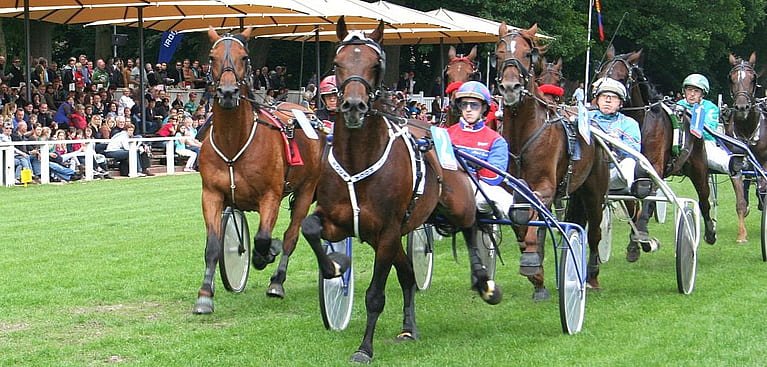 Pferdewetten Trabrennen