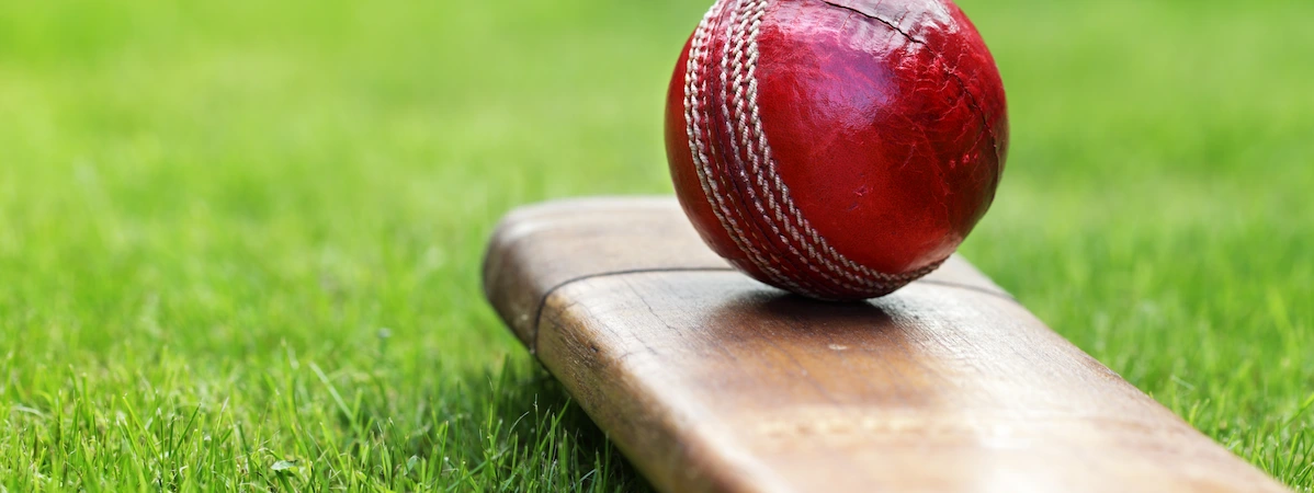Cricket bat and ball on grass. Cricket betting concept.