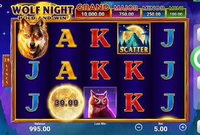 Wolf Night slot preview